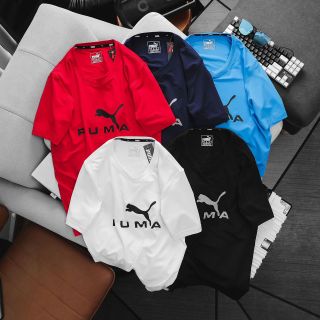 Tshirt thun poly 4c xịn.Vải hãng đẹp mịn mát, trơn láng, co giãn 4c thoải mái, áo thể thao nam giá sỉ