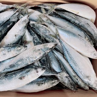 Cá sapa size 200-300gr thùng 10kg