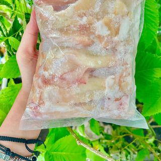 NGUỒN SỈ GÂN CHỮ Y TẠI SÌA GÒN