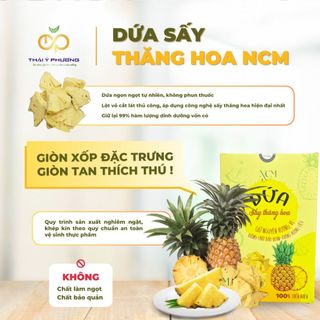Dứa sấy thăng hoa NCM hộp 20g
