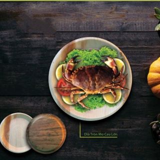 Dĩa Mo cau tròn, đường kính 20 cm, 26 cm