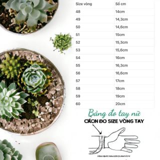 VÒNG TAY CỎ BỐN LÁ LU THỐNG NGỌC CẨM THẠCH THIÊN NHIÊN - THẮNG GIANG