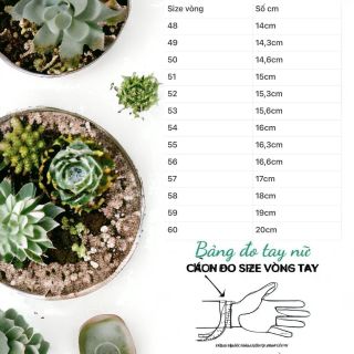 VÒNG TAY NGỌC PHỈ THÚY PHỐI CÁ CHÉP NGỌC BÍCH THIÊN NHIÊN - THẮNG GIANG