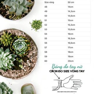 VÒNG TAY TRẦM HƯƠNG SÁNH CHÌM PHỐI LU THỐNG HỔ PHÁCH THIÊN NHIÊN - THẮNG GIANG