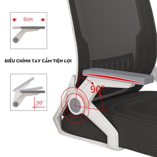 Ghế công thái học