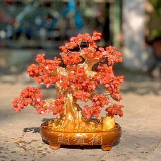 CHẬU CÂY CẢNH THẠCH ANH VỤN THIÊN NHIÊN CAO CẤP - THẮNG GIANG