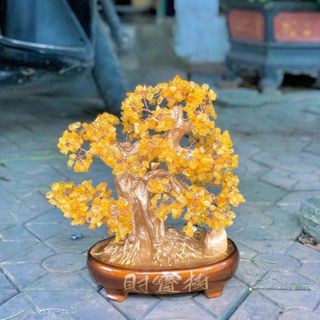 CHẬU CÂY CẢNH THẠCH ANH VỤN THIÊN NHIÊN CAO CẤP - THẮNG GIANG