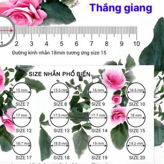 BỘ TRANG SỨC HỒ LY , TÌ HƯU THẠCH ANH TRẮNG THIÊN NHIÊN BỌC BẠC TA - THẮNG GIANG