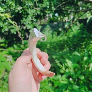 MẶT DÂY CHUYỀN NANH HEO RỪNG THIÊN NHIÊN BỌC BẠC TA CHUẨN - THẮNG GIANG