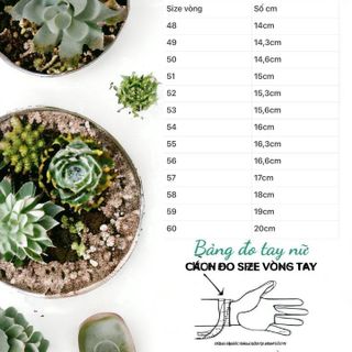 VÒNG TAY TRẦM HƯƠNG SÁNH CHÌM THIÊN NHIÊN PHỐI SEN VÀNG 10 KARA - THẮNG GIANG
