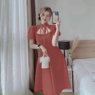 Đầm xòe nơ cổ hàng thiết kế sang trọng
