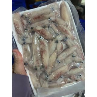 Mực sữa mini tươi ngon 1kg (giao tphcm)