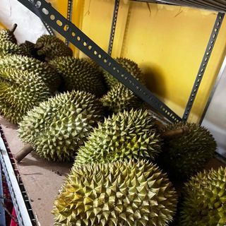 Sầu Riêng Ri6 hữu cơ