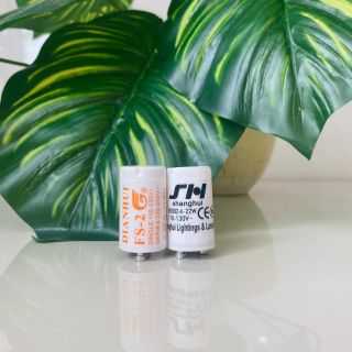 Chuột đèn dùng cho đèn diệt côn trùng