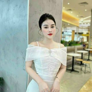 Đầm dự tiệc thiết kế dáng xoè dự tiệc chất liệu Umi co giãn phối voan, mềm mại, sang trong,thanh lịch N19