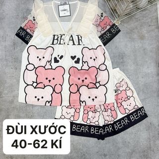 Đồ bộ đùi tiểu thư