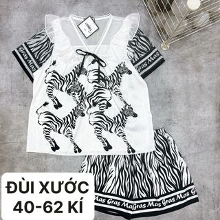 Đồ bộ đùi tiểu thư