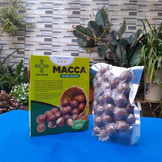 Hoa cảnh Đô Xu Tìm nhà phân phối Hạt Macca OCOP Lâm Đồng chiết khấu hấp dẫn