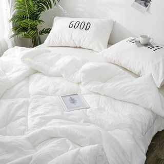 Ruột Chăn Bông DÀY siêu ấm bông gòn nặng 2,5kg dày dặn cao cấp màu trắng tinh size to 2M x 2M2