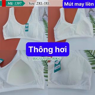 AL 1397.2XL - ÁO LÁ BIGSIZE LIENMUT giá sỉ