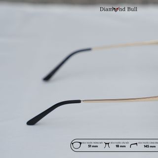 Mắt Kính Râm Mát Nam Nữ Thời Trang Diamond Bull Store Dáng Vuông Gọng Nhựa Mắt Râm Chống Tia UV 11-tr3946