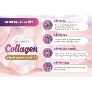 Nước Uống Đẹp Da S Select Collagen Drink Collagen Peptide, Chống Lão Hóa Da, Khỏe Tóc & Móng 50ml giá sỉ
