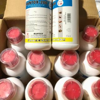 HANTOX-200 diệt ruồi, muỗi, kiến, gián, ve, ghẻ ở chó mèo, mạt gà (1 lít)