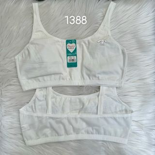 1388 - ÁO LÁ HS KM