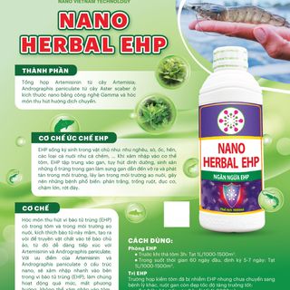 Dung dịch Nano Herbal EHP giải pháp ngăn chặn EHP hiệu quả trên tôm, cá