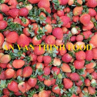 DÂU TÂY ĐÔNG LẠNH, DÂU ĐÔNG LẠNH, IQF STRAWBERRY IQF, FROZEN STRAWBERRY FROZEN TO EXPORT FROM AN VAN THINH FOOD COMPANY (AVTF / AVTFOOD)