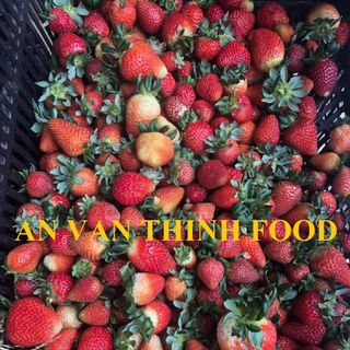 DÂU TÂY ĐÔNG LẠNH, DÂU ĐÔNG LẠNH, IQF STRAWBERRY IQF, FROZEN STRAWBERRY FROZEN TO EXPORT FROM AN VAN THINH FOOD COMPANY (AVTF / AVTFOOD)