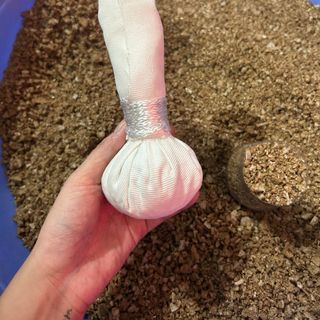 Cây muối chườm mắt thảo dược