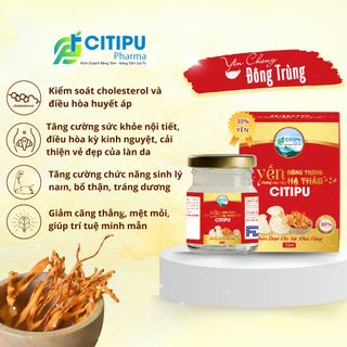 HỘP 6 HŨ YẾN CHƯNG CAO CẤP ĐÔNG TRÙNG HẠ THẢO HÀM LƯỢNG 30% YẾN CITIPU