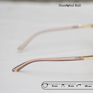 Mắt Kính Râm Mát Nam Nữ Thời Trang Diamond Bull Store Dáng Vuông Gọng Nhựa Mắt Râm Chống Tia UV 19-232-MT