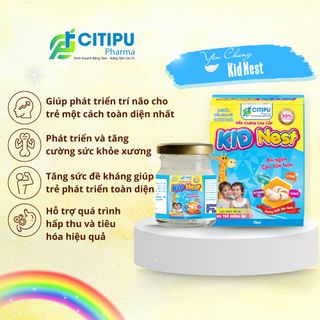 XÁCH 6 HŨ YẾN CHƯNG CAO CẤP KIDNEST HÀM LƯỢNG 30% YẾN CITIPU