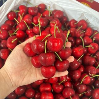 Cherry mỹ RIVERMAID size 9