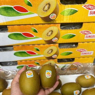 Kiwi vàng newzeland