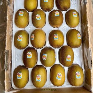 Kiwi vàng newzeland
