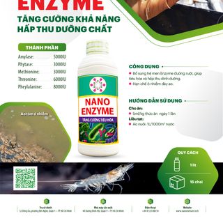 Dung dịch Nano Enzyme hỗ trợ khả năng hấp thụ dưỡng chất ở tôm, cá, động vật thủy sinh