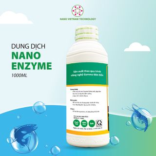 Dung dịch Nano Enzyme hỗ trợ khả năng hấp thụ dưỡng chất ở tôm, cá, động vật thủy sinh