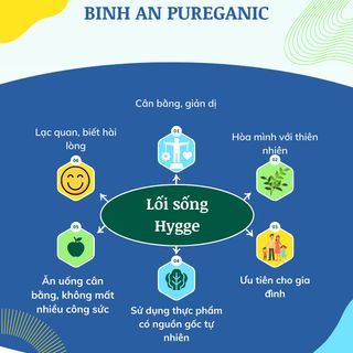 Nước Ép Việt Quất Bonne Từ Trái Cây Thật Và Nước Suối Tinh Khiết Nhập Khẩu Phần Lan Không Chất Bảo Quản Độc Hại Không Đường Hóa Học - 1 Lít