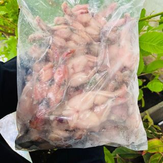 ĐÙI ẾCH TƯƠI NGON, LÀM SẠCH, SẴN CHẾ BIẾN