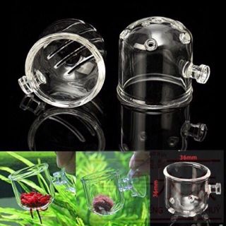 CỐC ACRYLIC ĐỰNG TRÙNG CHỈ, THỨC ĂN CHO CÁ CẢNH