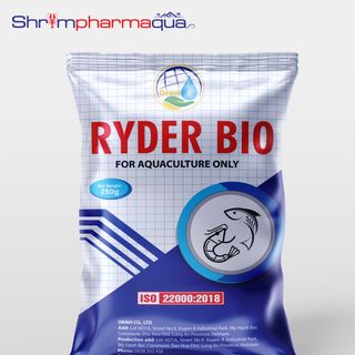 RYDER BIO - Men Vi sinh dạng bột 250g/gói. Xử lý nước cho ao nuôi tôm, cá. Hấp thu khí độc, cắt tảo. Xử lý chất lơ lửng, cặn bã, váng nhầy giá sỉ