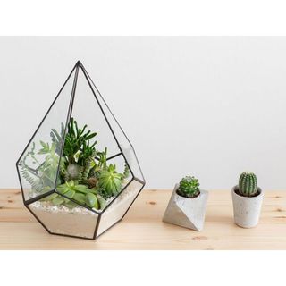 Mảnh kính bình đa giác kính, bình terrarium đa giác kèm keo dán