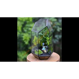 Bình đa giác kính, bình terrarium đa giác hình học