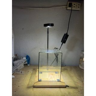 Bình  thủy tinh Terrarium, hộp kính trồng cây mini.