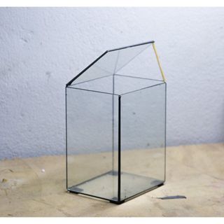 Bình  thủy tinh Terrarium, hộp kính trồng cây mini.