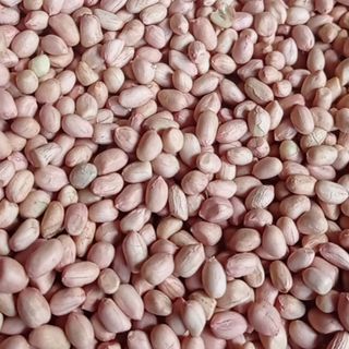 ĐẬU PHỘNG NHÂN HẠT , LẠC NHÂN (hàng Việt Nam)