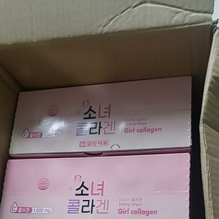 Heo đất ống heo tiết kiệm cao cấp